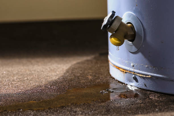 Best 24/7 water damage repair  in Lochbuie, CO