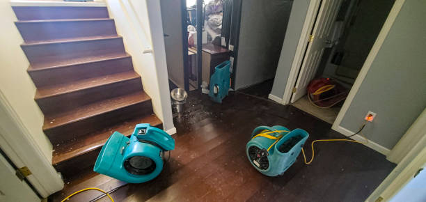 Best Flood restoration services  in Lochbuie, CO