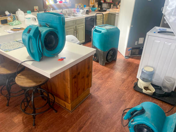 Best Professional water damage repair  in Lochbuie, CO