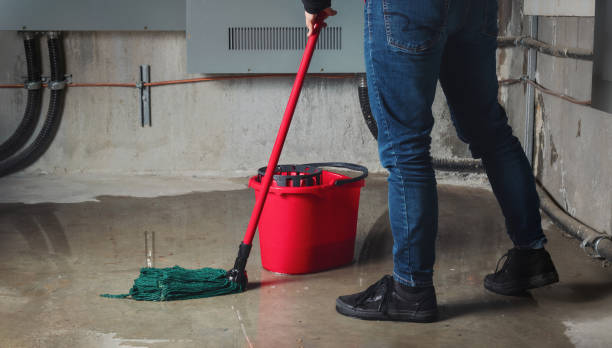Best Water damage restoration experts  in Lochbuie, CO