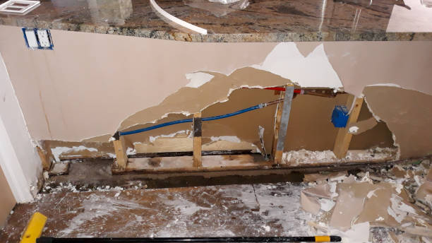 Best Residential water damage restoration  in Lochbuie, CO