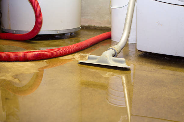 Best Basement water damage restoration  in Lochbuie, CO