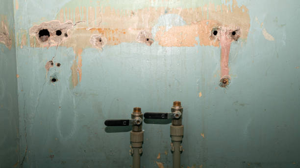 Best 24-hour water damage restoration  in Lochbuie, CO
