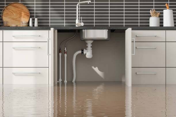 Best Water damage restoration near me  in Lochbuie, CO