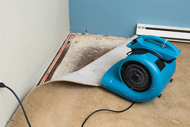 Water damage restoration mold remediation in CO